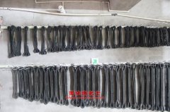 江鈴JX6770VD4客車用的康明斯ISF3.8s4141發(fā)動(dòng)機(jī)的配件及保養(yǎng)